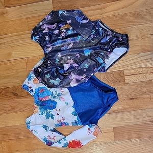 Gymnastics Leotard Bundle 2t/3t